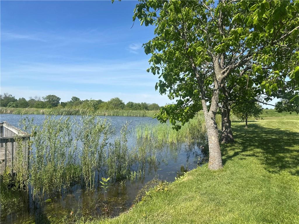 169 Northeast County Road Warrensburg, MO 64093 - Photo 13 of 30