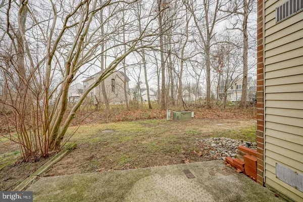 a view of yard with trees
