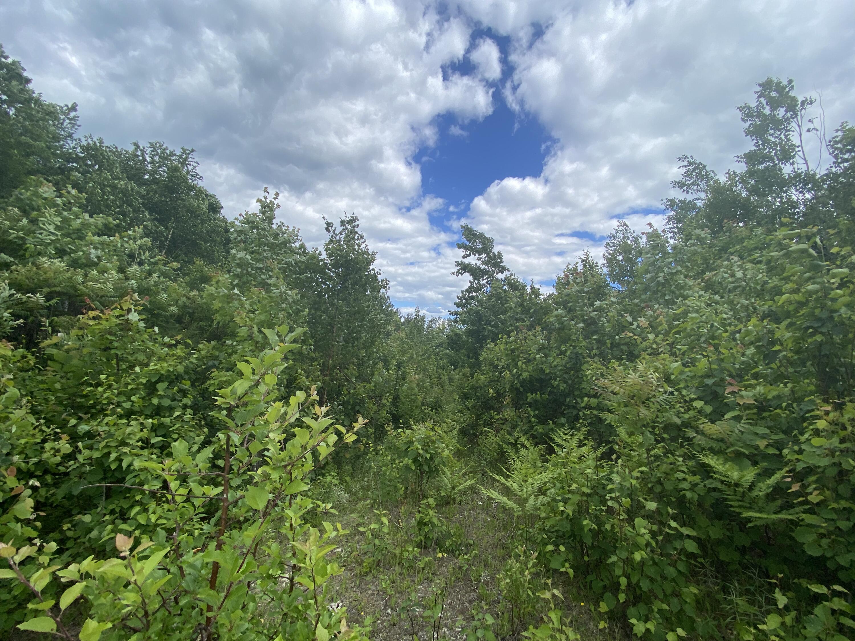 160 Reed's Mill Road Madrid Township, ME 04966 - Photo 8 of 20 Photo Jun 16, 2 39 14 PM