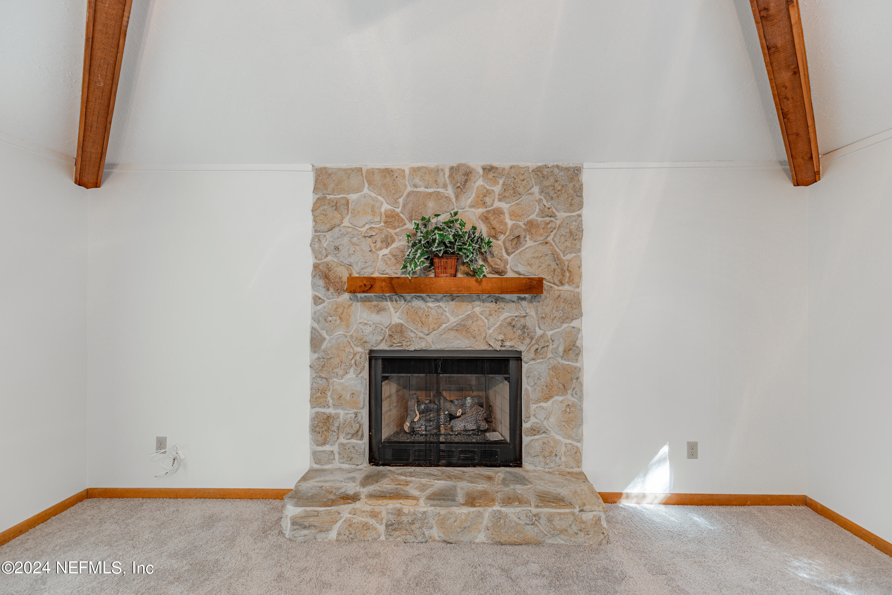 345 Cedar Run Drive Fleming Island, FL 32003 - Photo 17 of 54 345 Cedard Run Dr-10