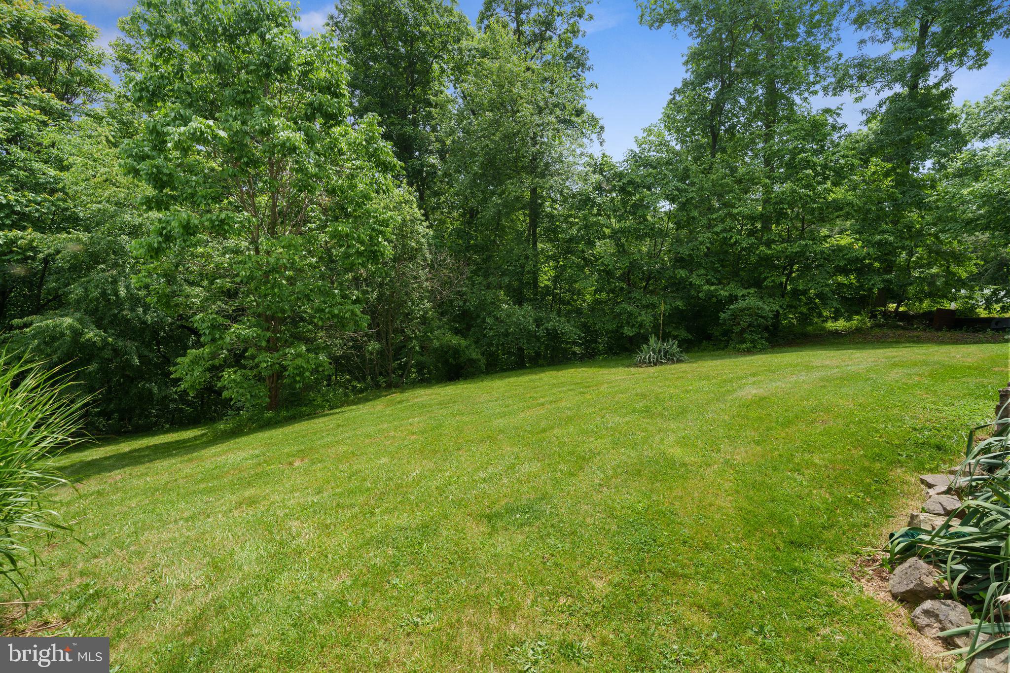 262 Blue Valley Road Linden, VA 22642 - Photo 21 of 26