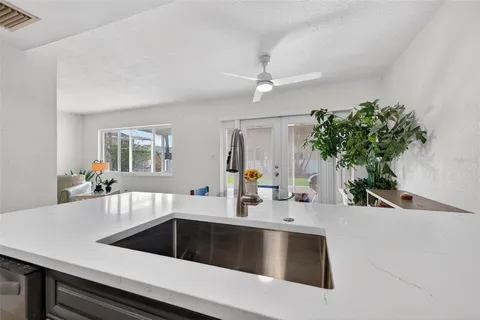 a kitchen with a sink and a potted plant