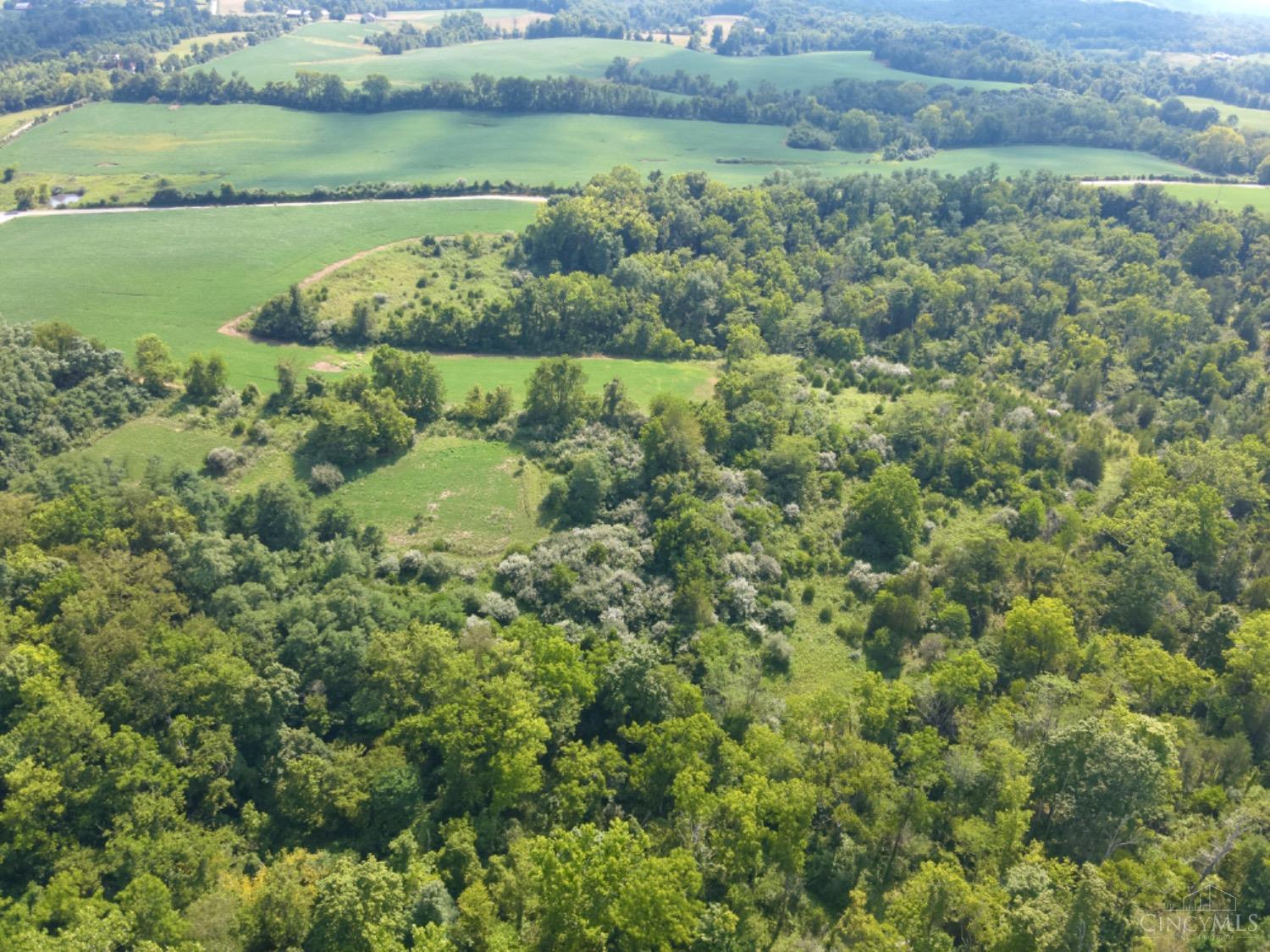 0 Brier Ridge Road West Union, OH 45693 - Photo 43 of 98