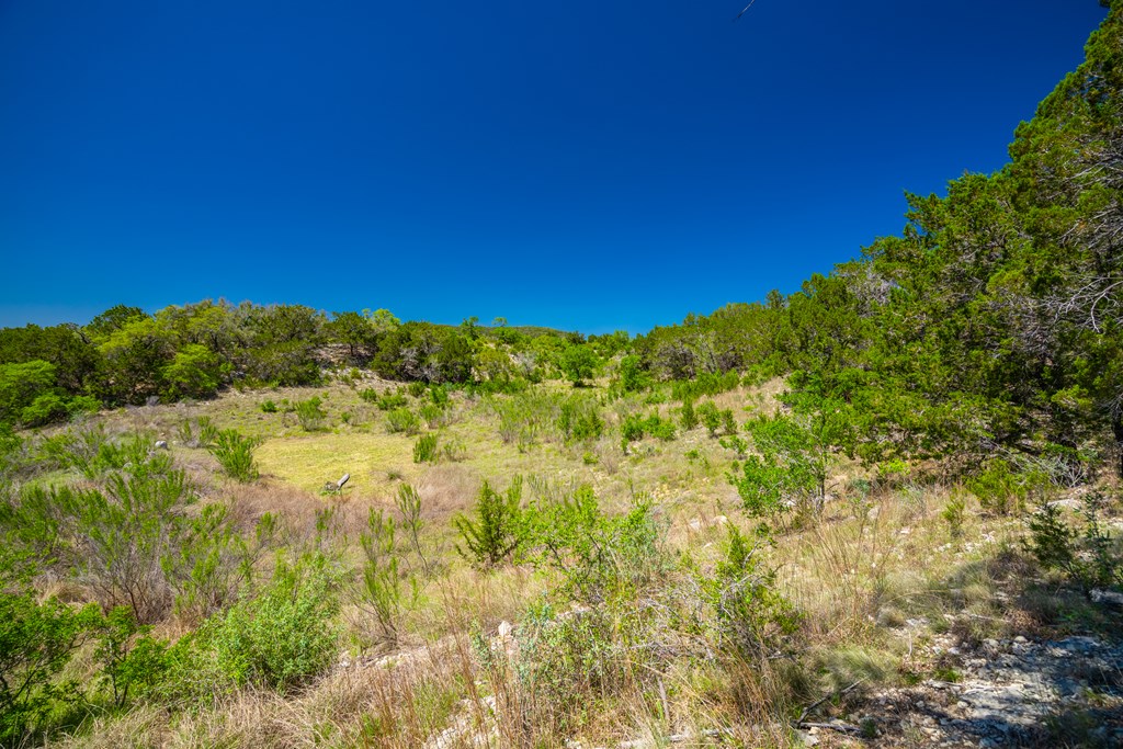 422 Johnson Road Bandera, TX 78003 - Photo 11 of 42