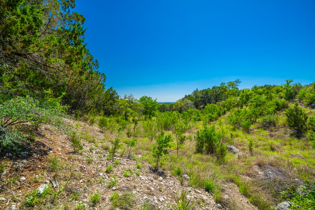 422 Johnson Road Bandera, TX 78003 - Photo 19 of 42