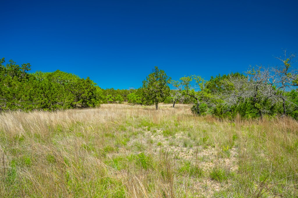 422 Johnson Road Bandera, TX 78003 - Photo 22 of 42