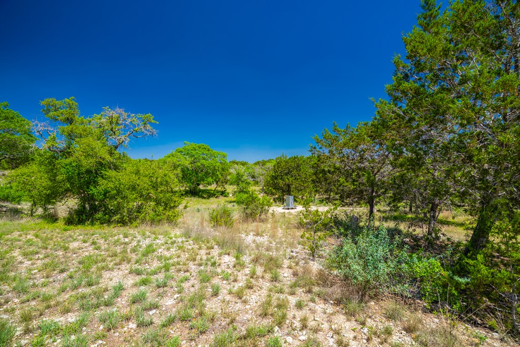 422 Johnson Road Bandera, TX 78003 - Photo 24 of 42