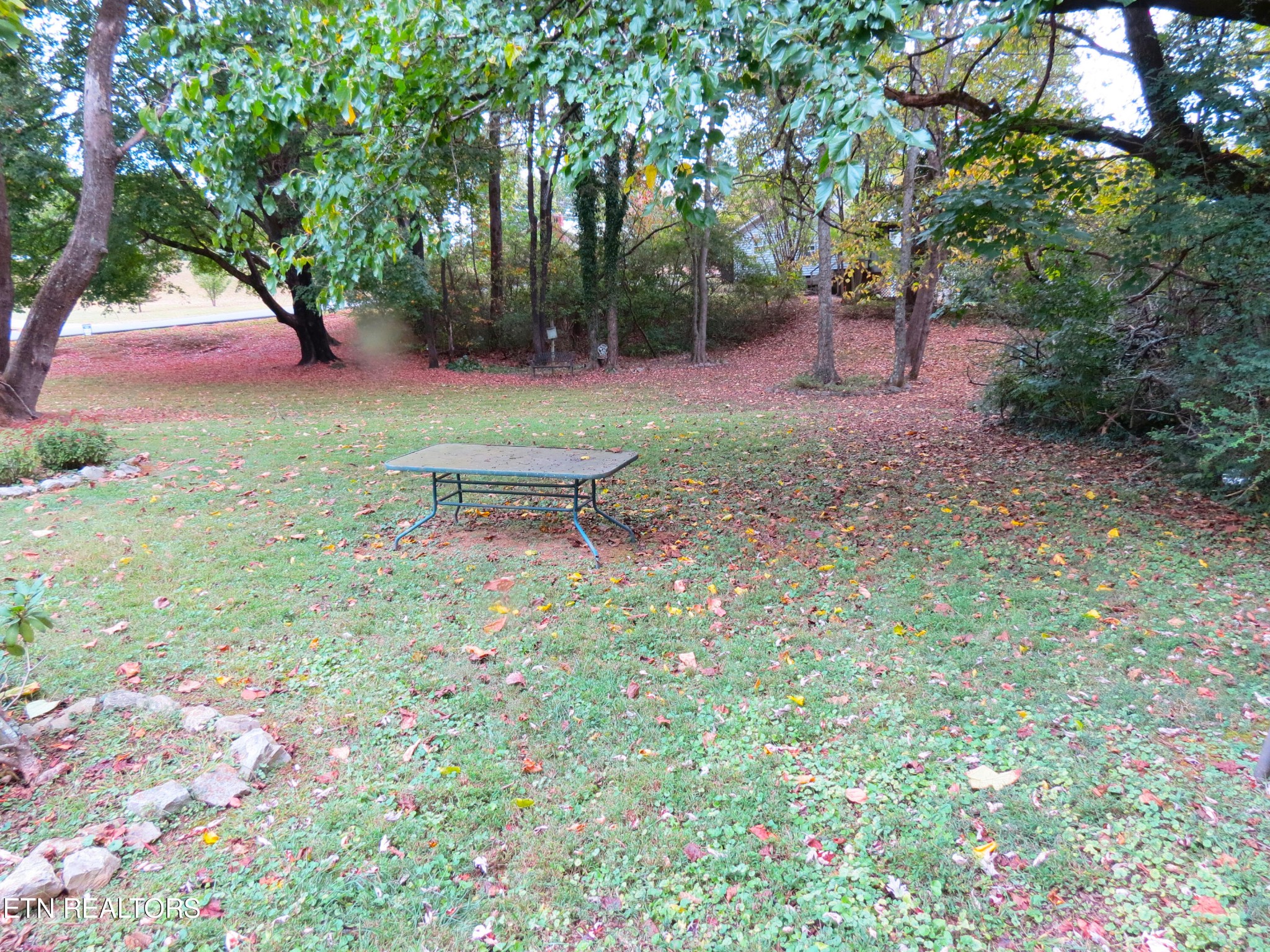 5409 Rowan Road Knoxville, TN 37912 - Photo 40 of 47 Gallery Image 40
