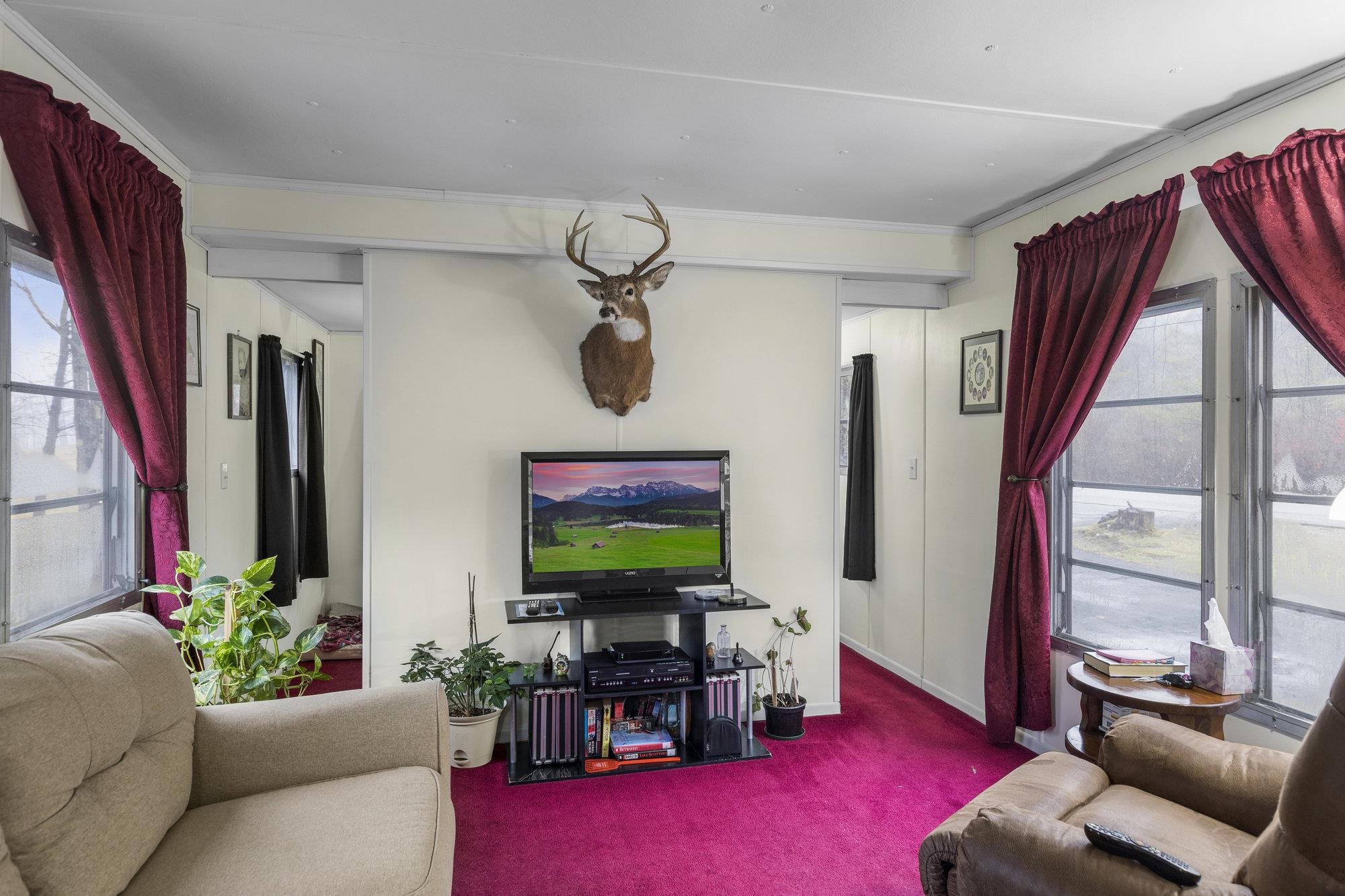 373 Governors Road Milton, NH 03851 - Photo 3 of 16