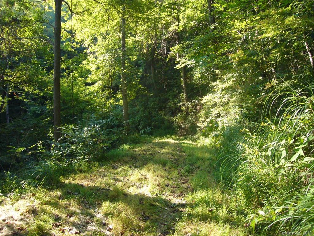 Tbd Thomas Br Road Marshall, NC 28753 - Photo 1 of 6 Gallery Image 1
