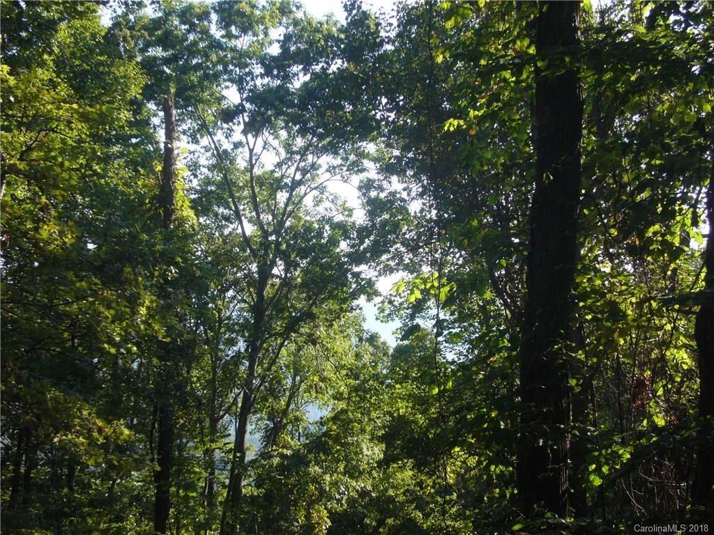 Tbd Thomas Br Road Marshall, NC 28753 - Photo 2 of 6 Gallery Image 2