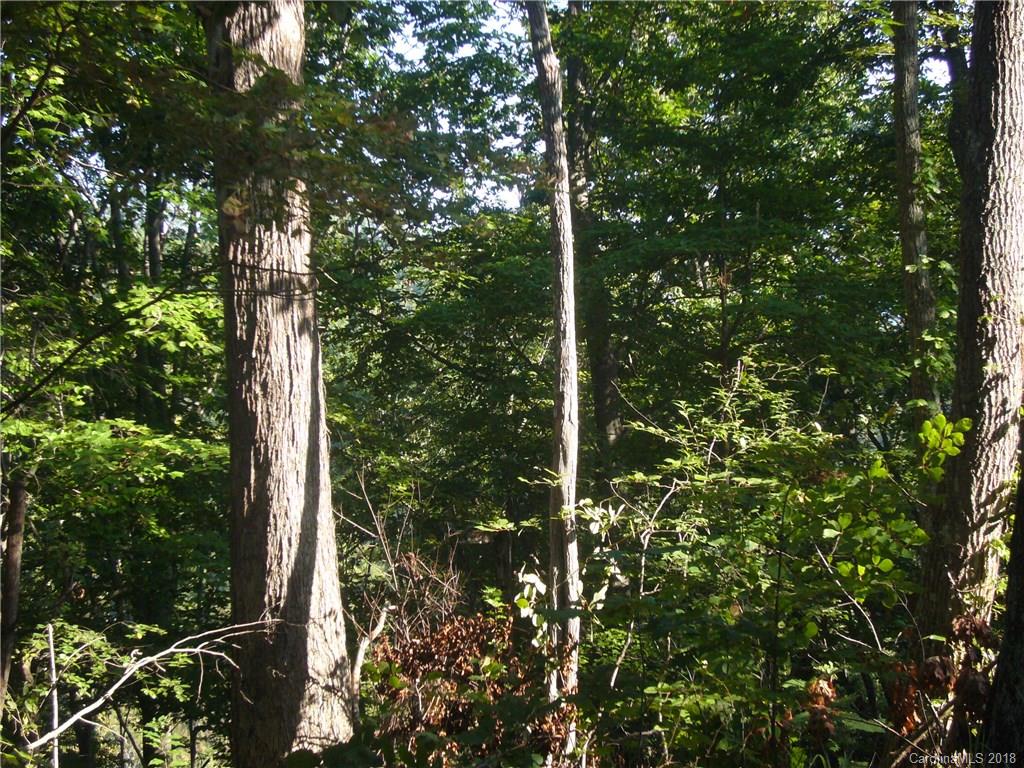 Tbd Thomas Br Road Marshall, NC 28753 - Photo 3 of 6 Gallery Image 3