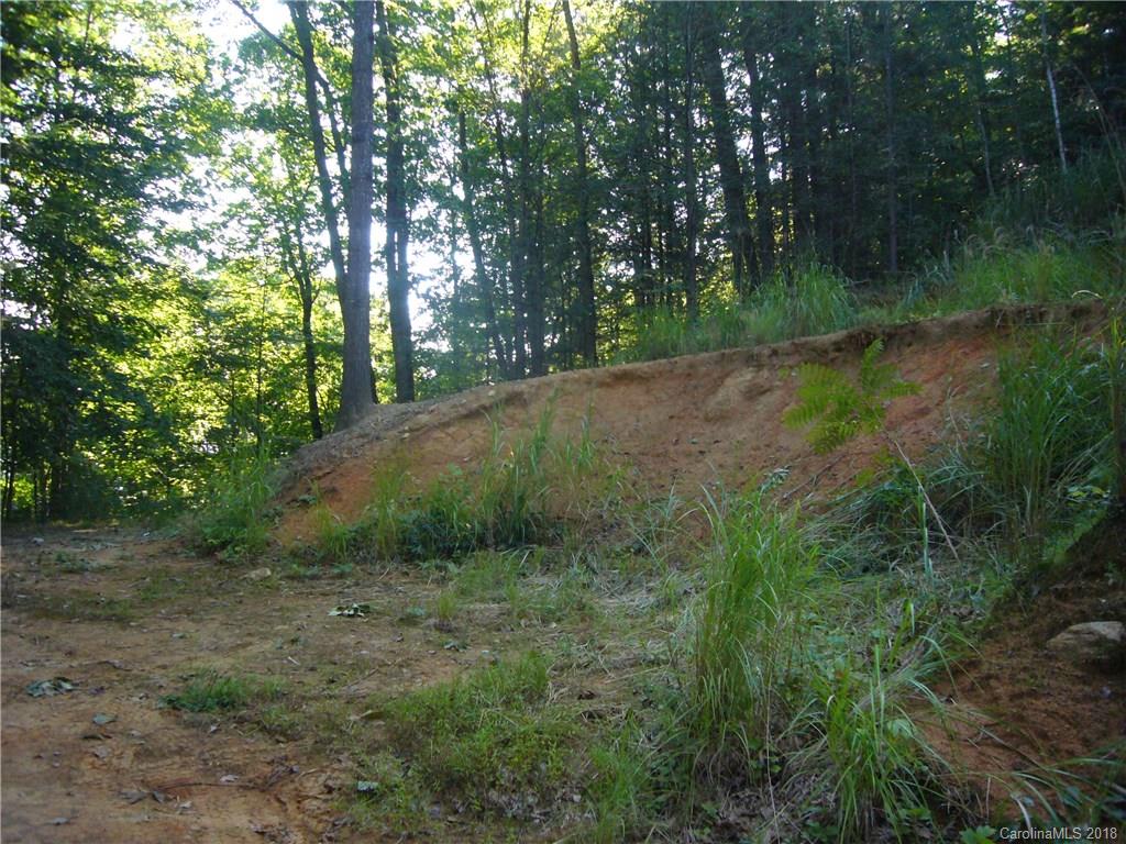 Tbd Thomas Br Road Marshall, NC 28753 - Photo 4 of 6 Gallery Image 4