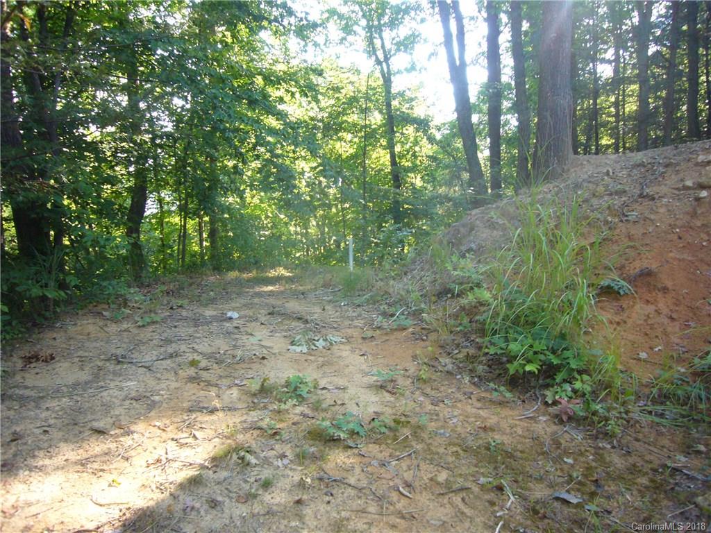 Tbd Thomas Br Road Marshall, NC 28753 - Photo 5 of 6 Gallery Image 5