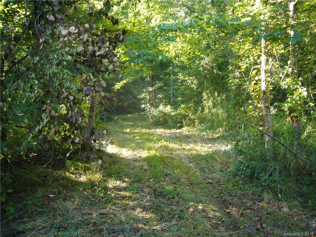 Tbd Thomas Br Road Marshall, NC 28753 - Photo 6 of 6 Gallery Image 6