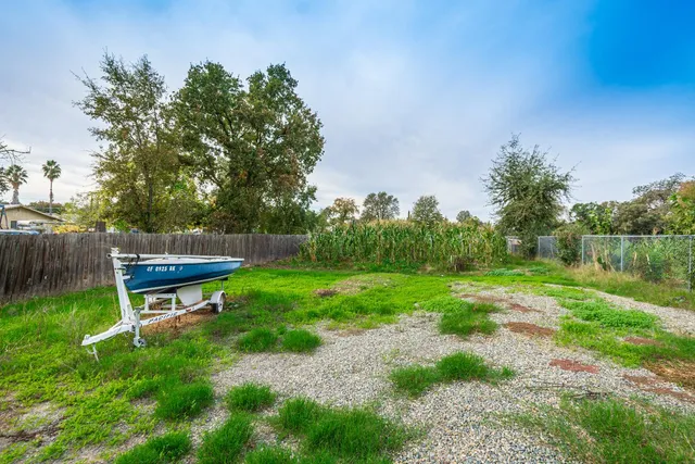 a view of a lush green space
