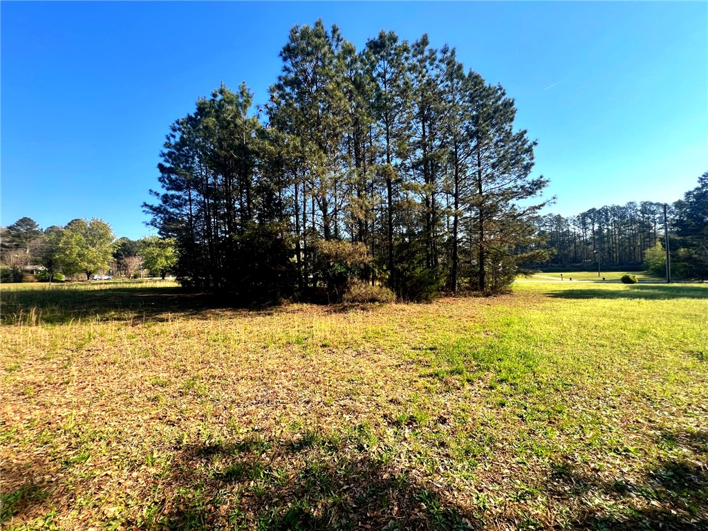 2 Deerfield Drive Honea Path, SC 29654 - Photo 14 of 16