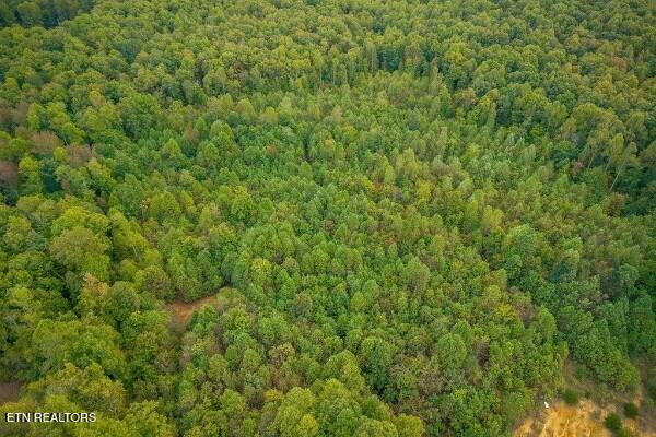 500 Moonlight Trail Sparta, TN 38583 - Photo 43 of 51 239952_35