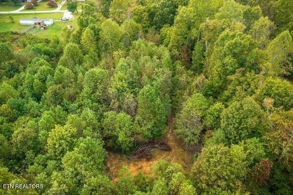 500 Moonlight Trail Sparta, TN 38583 - Photo 45 of 51 239952_37