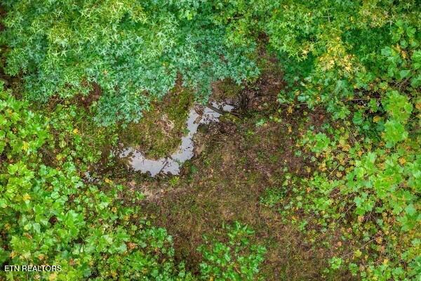 500 Moonlight Trail Sparta, TN 38583 - Photo 47 of 51 239952_39