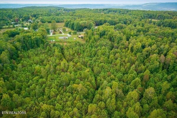 500 Moonlight Trail Sparta, TN 38583 - Photo 48 of 51 239952_40