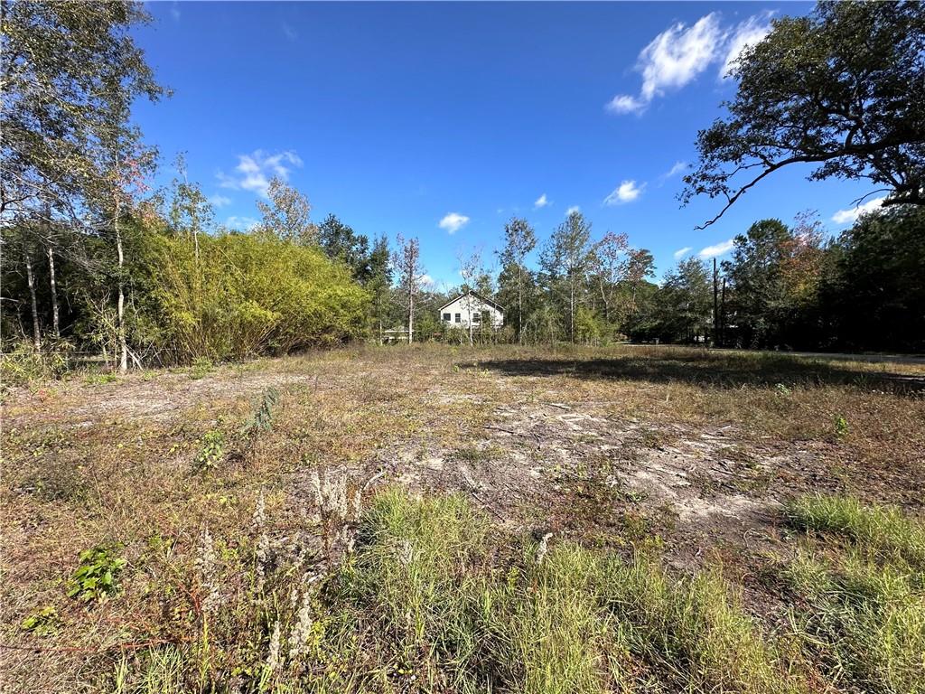 34573 Ridgewood Drive Slidell, LA 70460 - Photo 3 of 4 Gallery Image 3