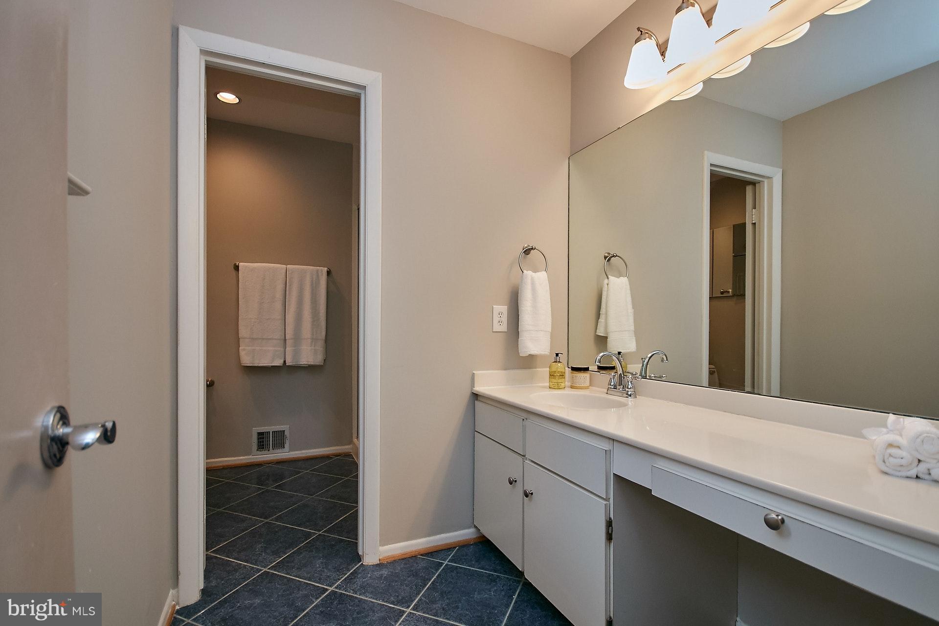 2131 Cabots Point Lane Reston, VA 20191 - Photo 18 of 29 Bath (Master)