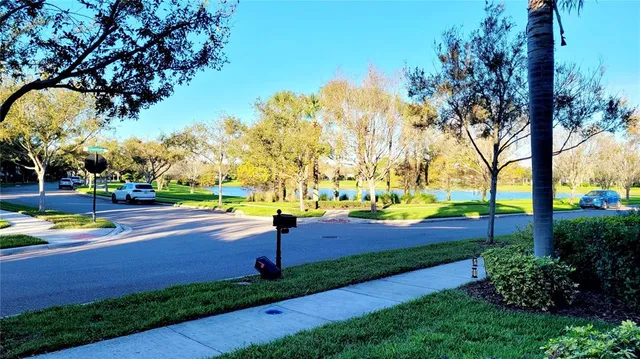 a view of a park with large trees