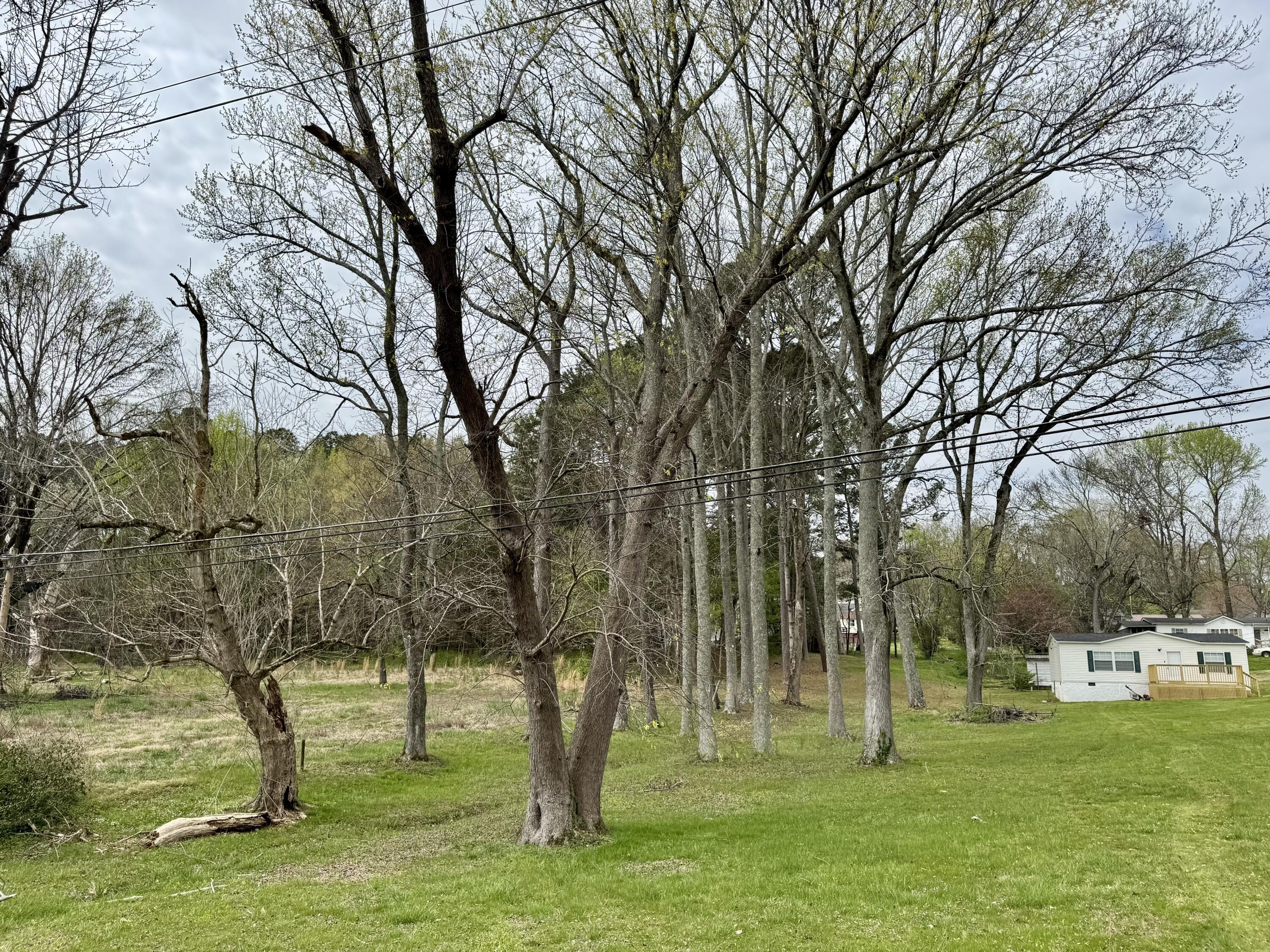 670 Pine Grove Road Ringgold, GA 30736 - Photo 22 of 27 IMG_8315