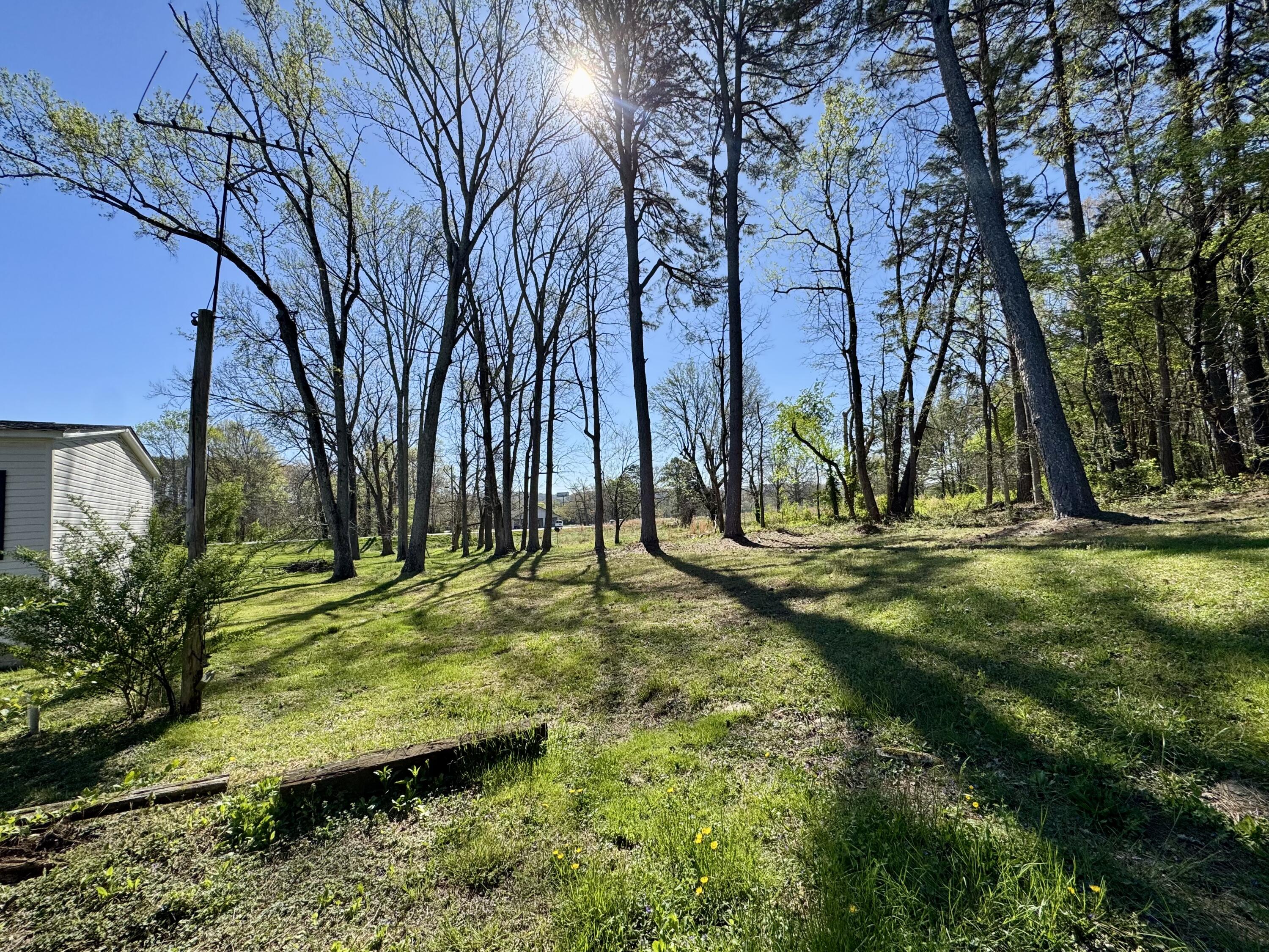 670 Pine Grove Road Ringgold, GA 30736 - Photo 23 of 27 IMG_8343