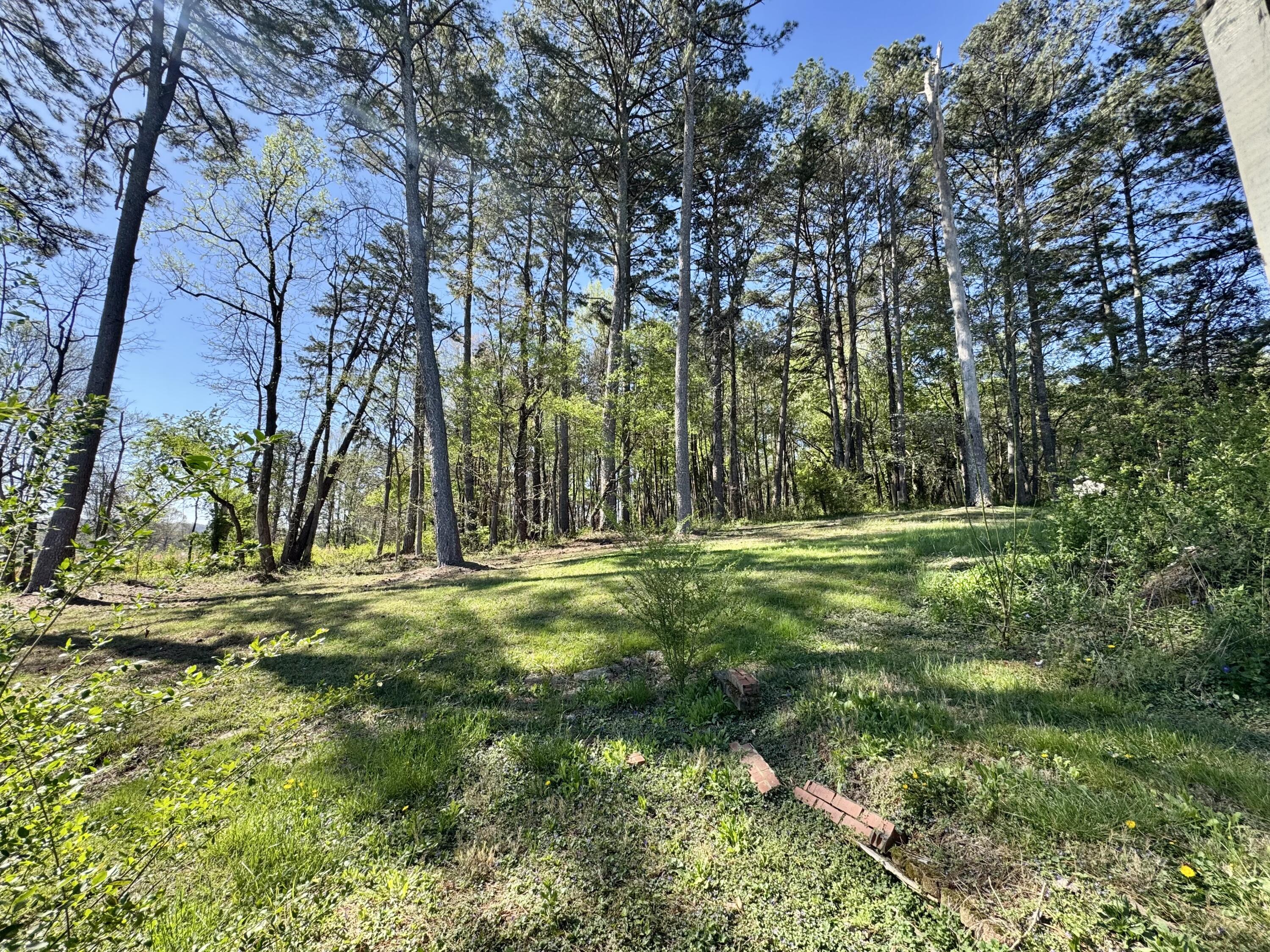 670 Pine Grove Road Ringgold, GA 30736 - Photo 24 of 27 IMG_8342