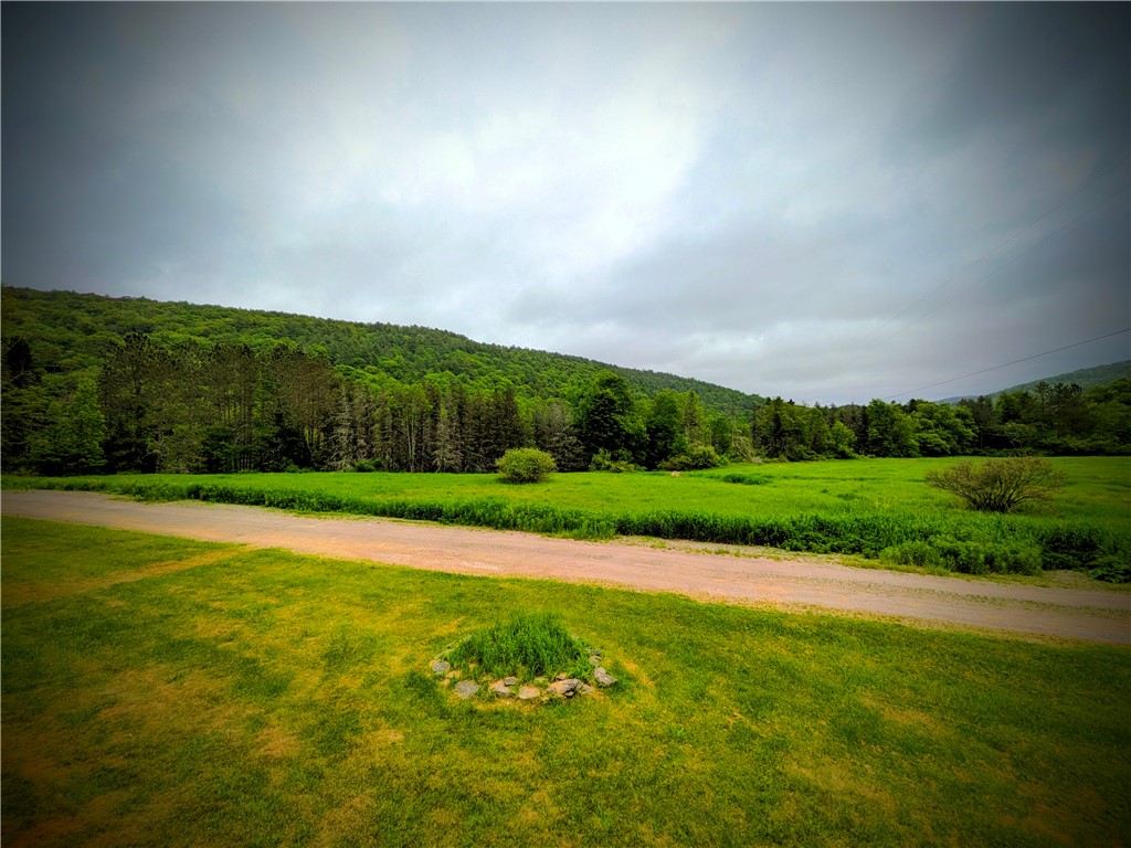 121 Palmer Road Jefferson, NY 12093 - Photo 42 of 49 Acreage