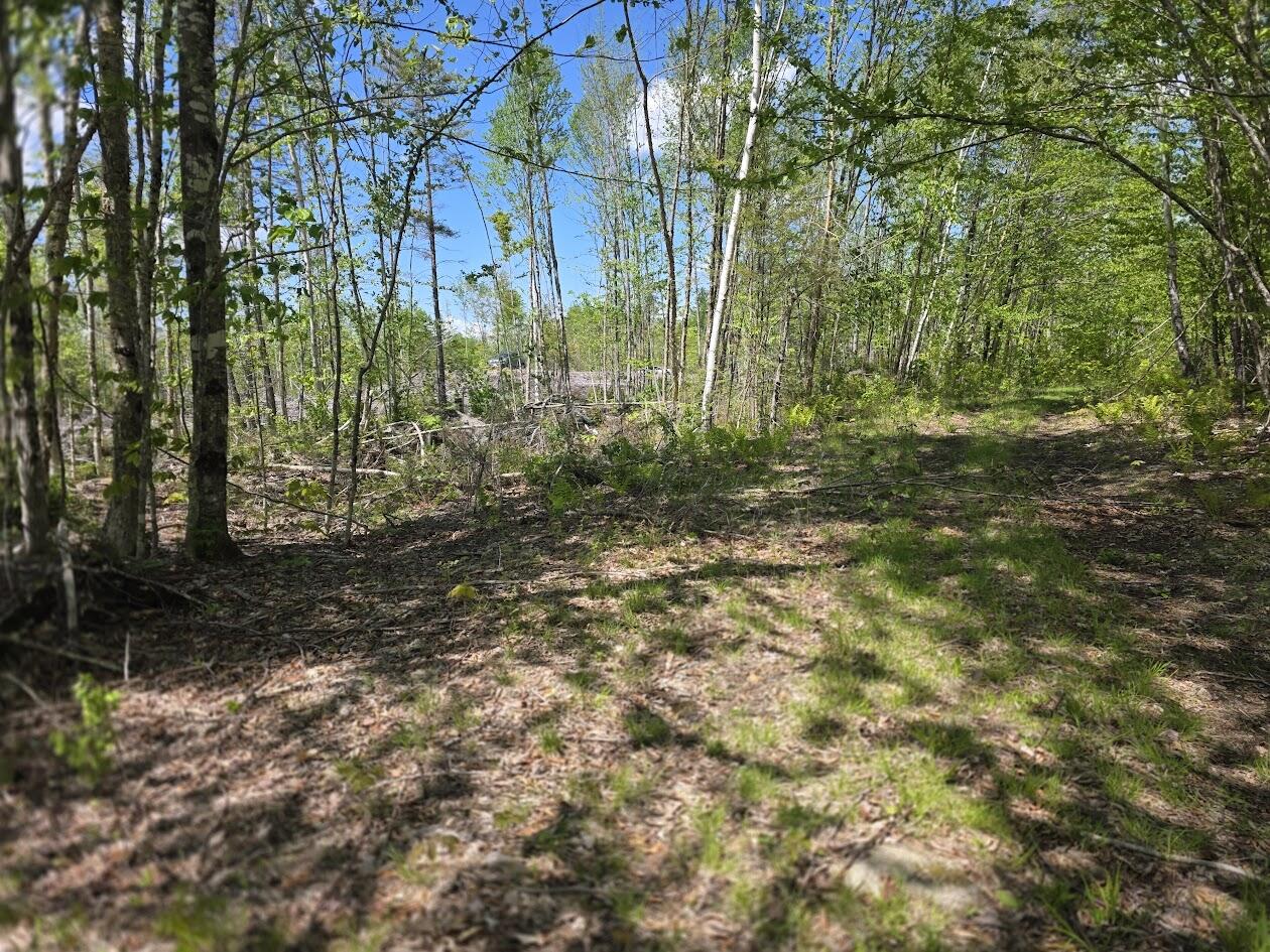 Lot 6 South Treadwell Hill Road Springfield, ME 04487 - Photo 8 of 14 20260526_134416