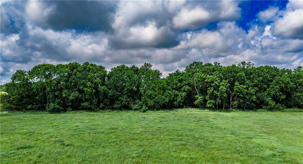 4038 Lee Road Mound City, KS 66056 - Photo 20 of 75