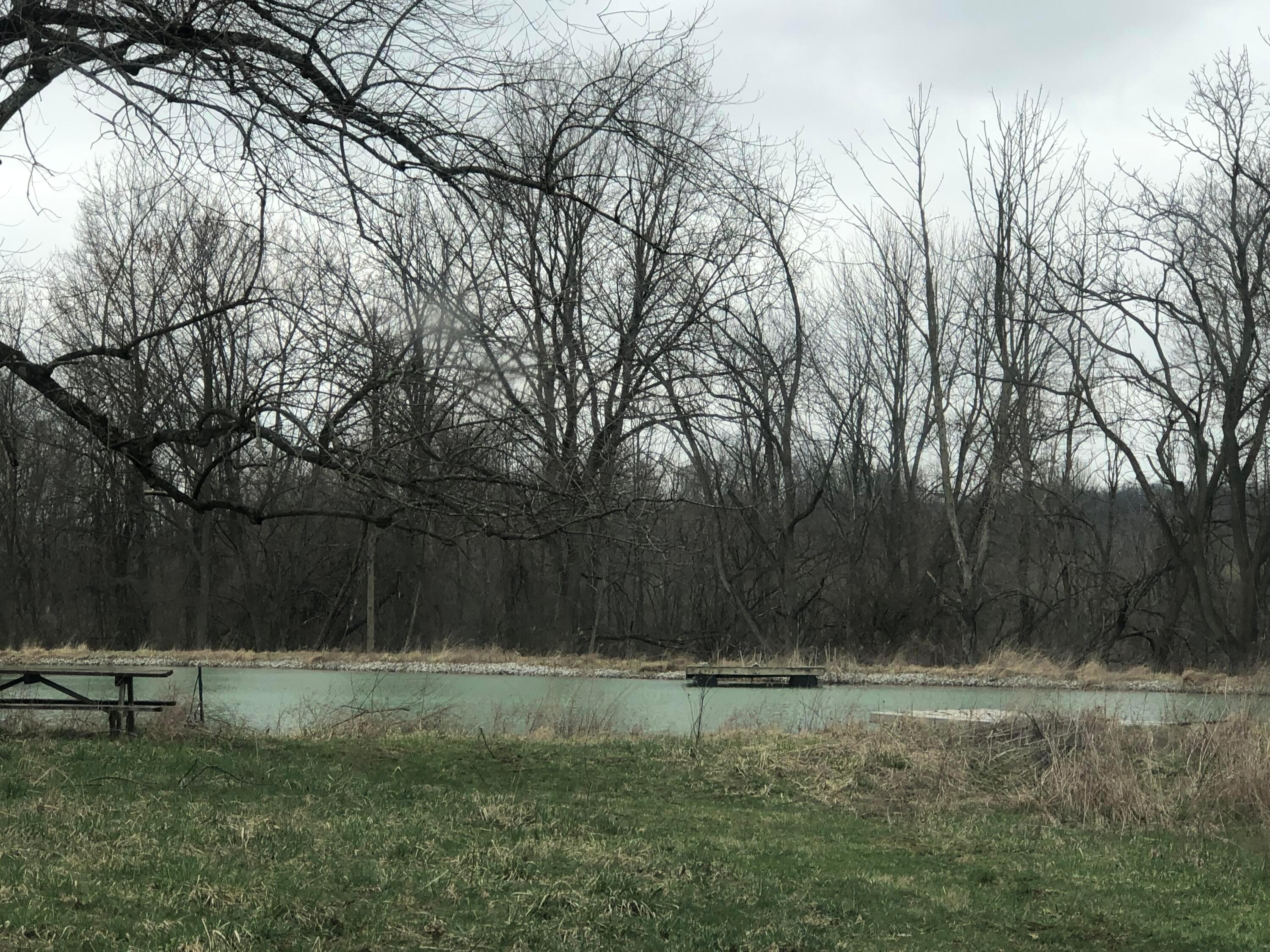 8500 McKitrick Road Plain City, OH 43064 - Photo 1 of 8 Pond
