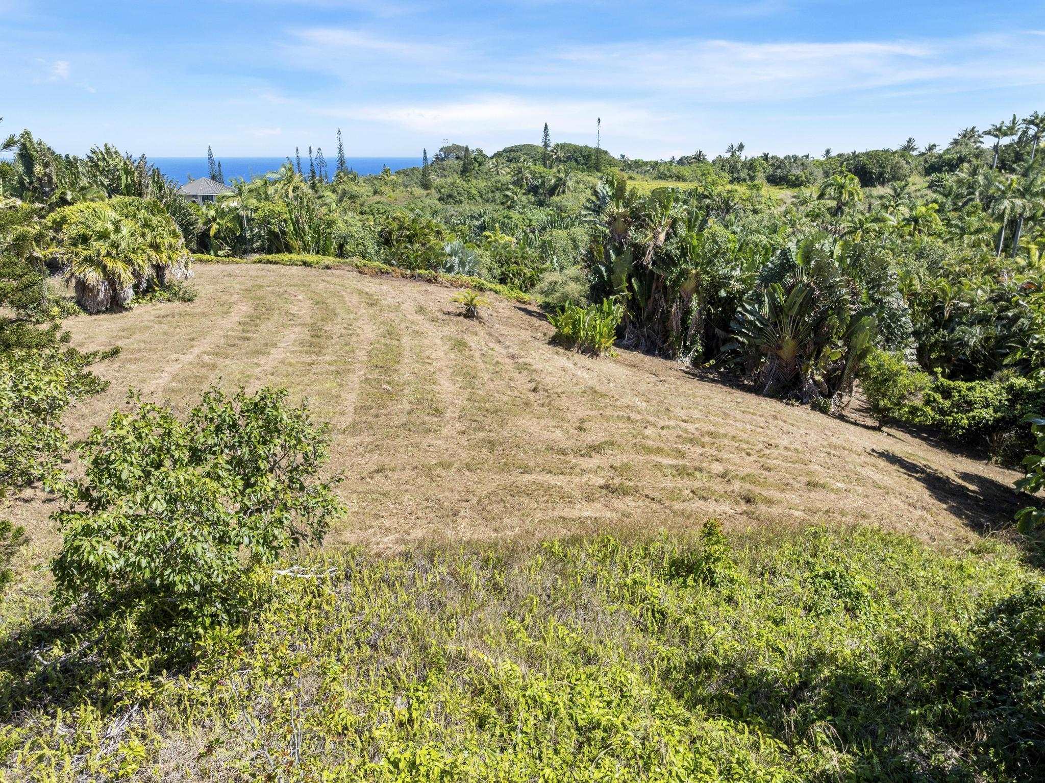 62 Hoolawa Road, Unit B Haiku, HI 96708 - Photo 11 of 36