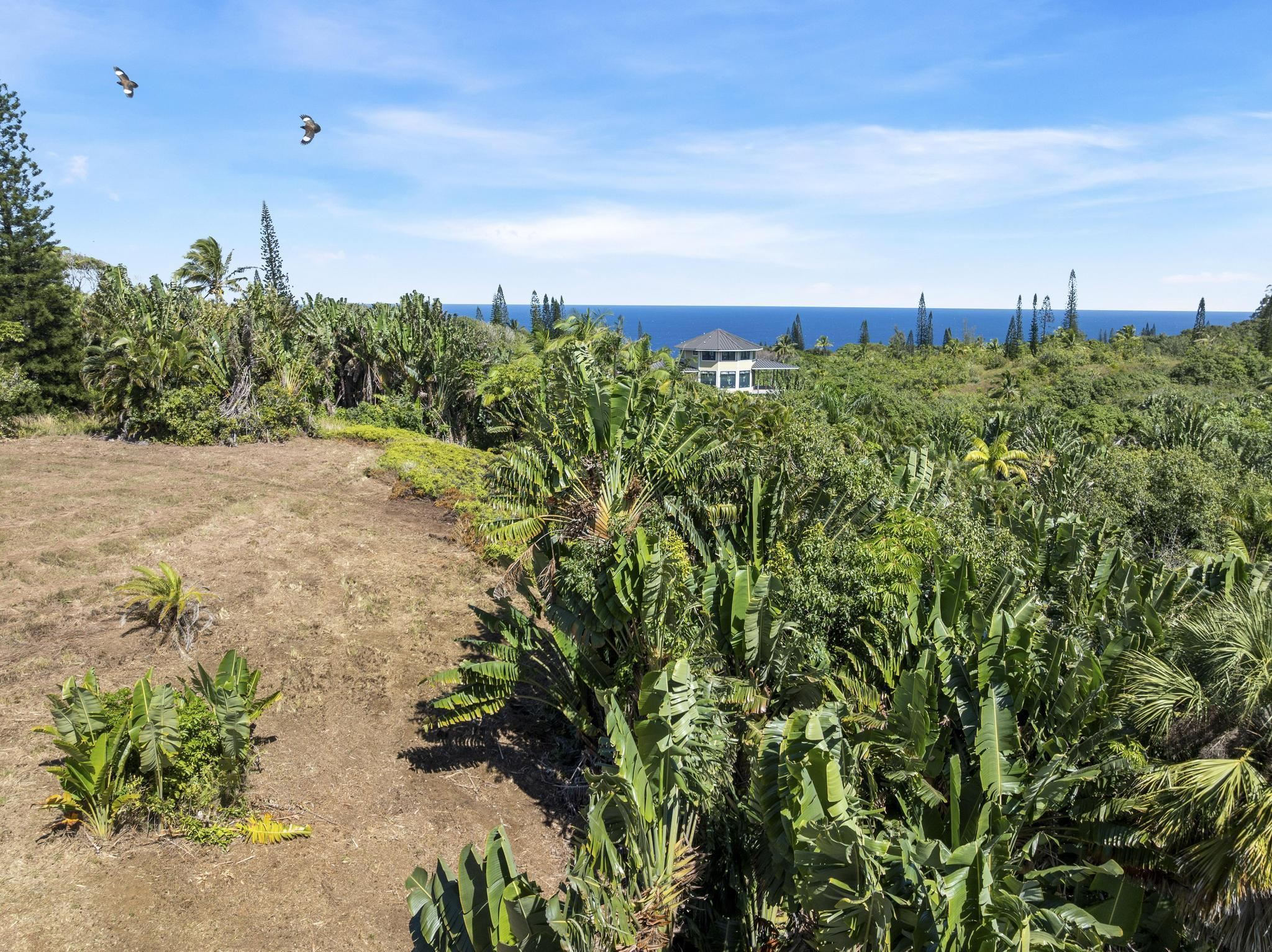 62 Hoolawa Road, Unit B Haiku, HI 96708 - Photo 12 of 36