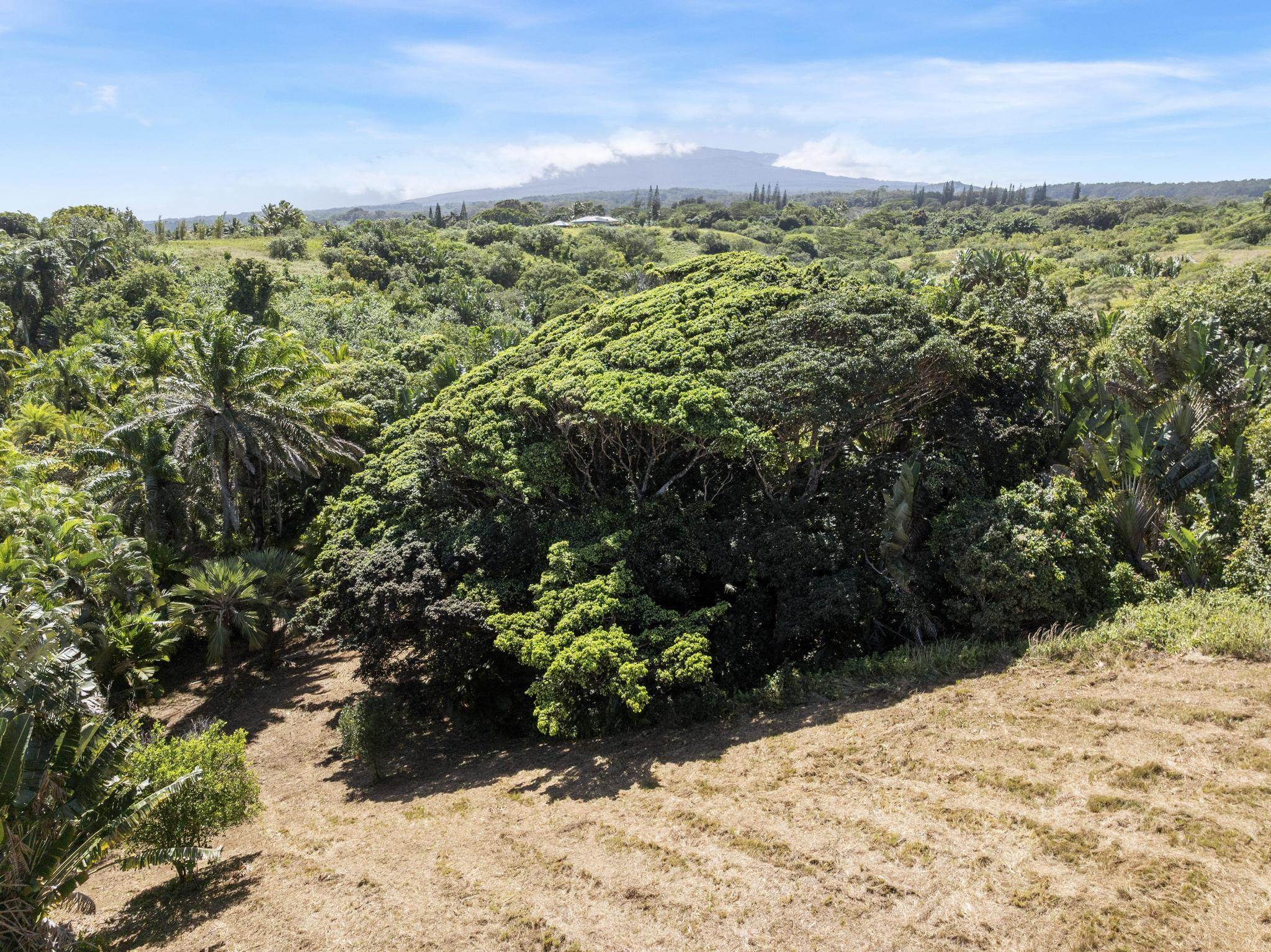 62 Hoolawa Road, Unit B Haiku, HI 96708 - Photo 14 of 36