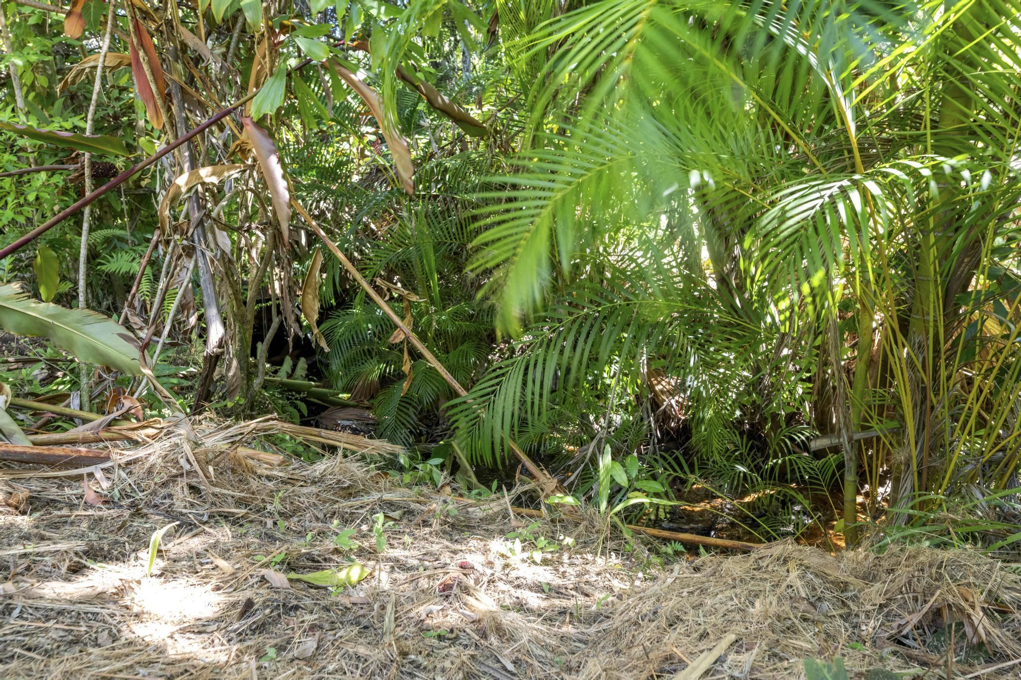 62 Hoolawa Road, Unit B Haiku, HI 96708 - Photo 18 of 36