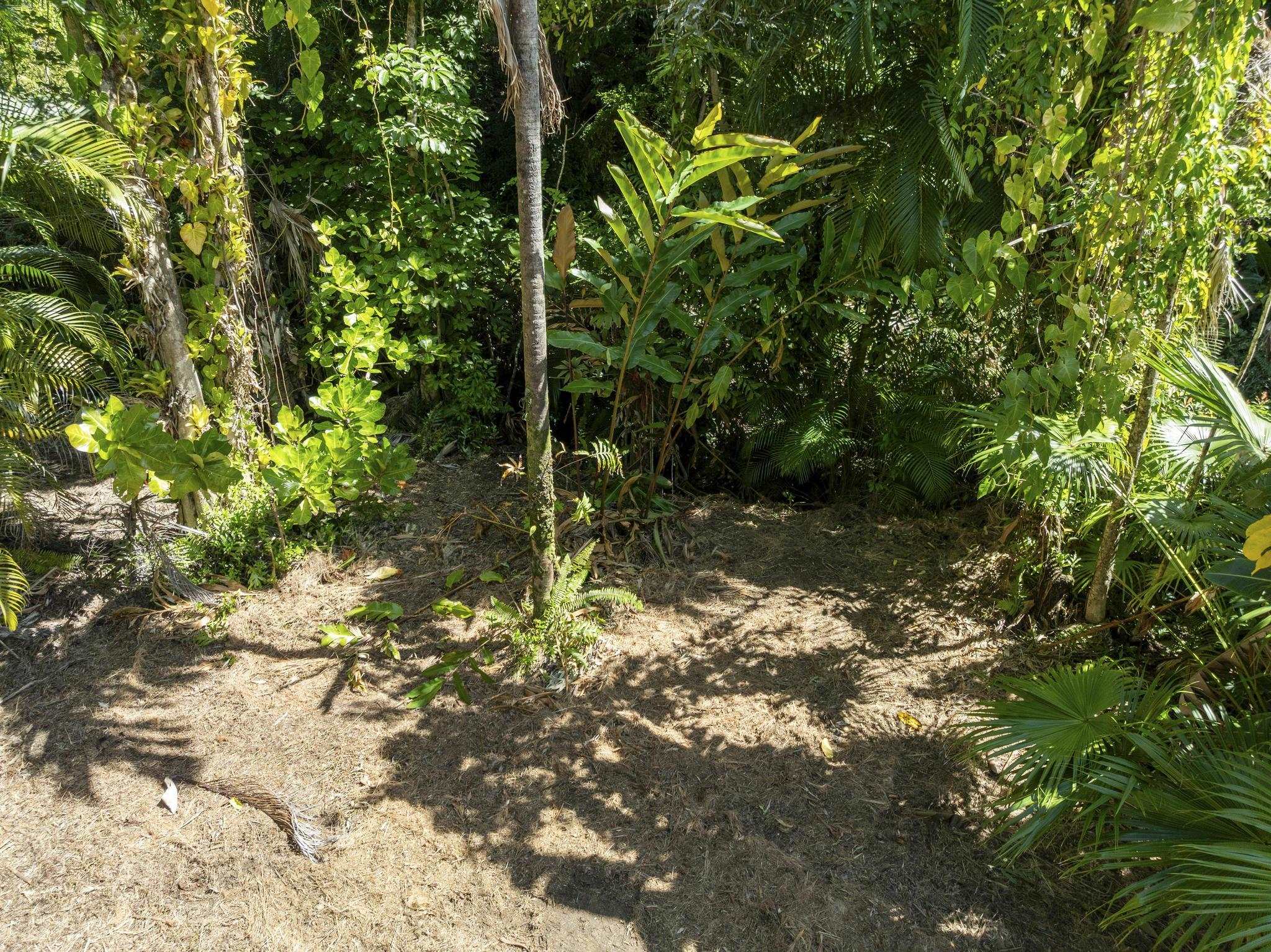 62 Hoolawa Road, Unit B Haiku, HI 96708 - Photo 20 of 36