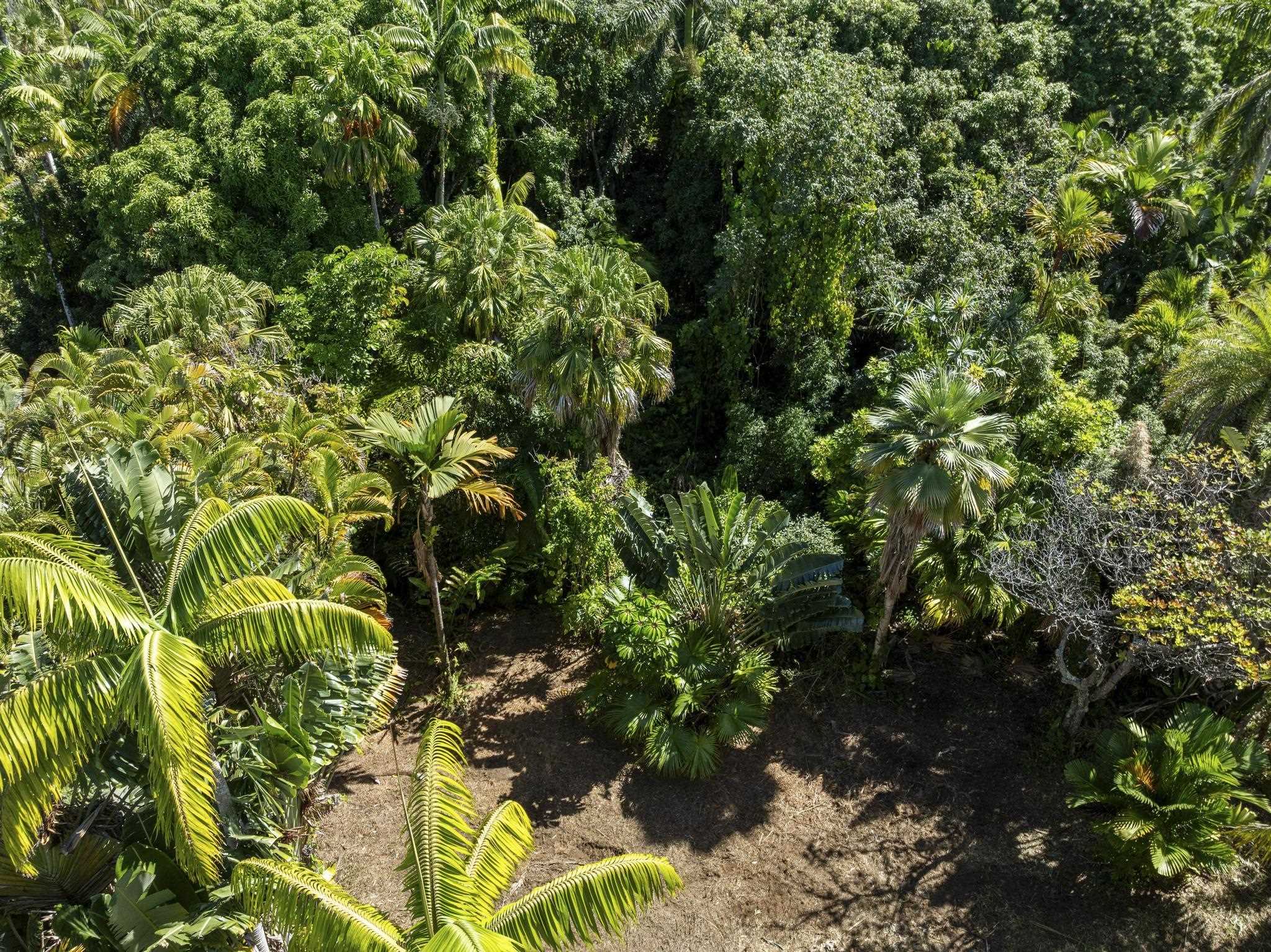 62 Hoolawa Road, Unit B Haiku, HI 96708 - Photo 24 of 36