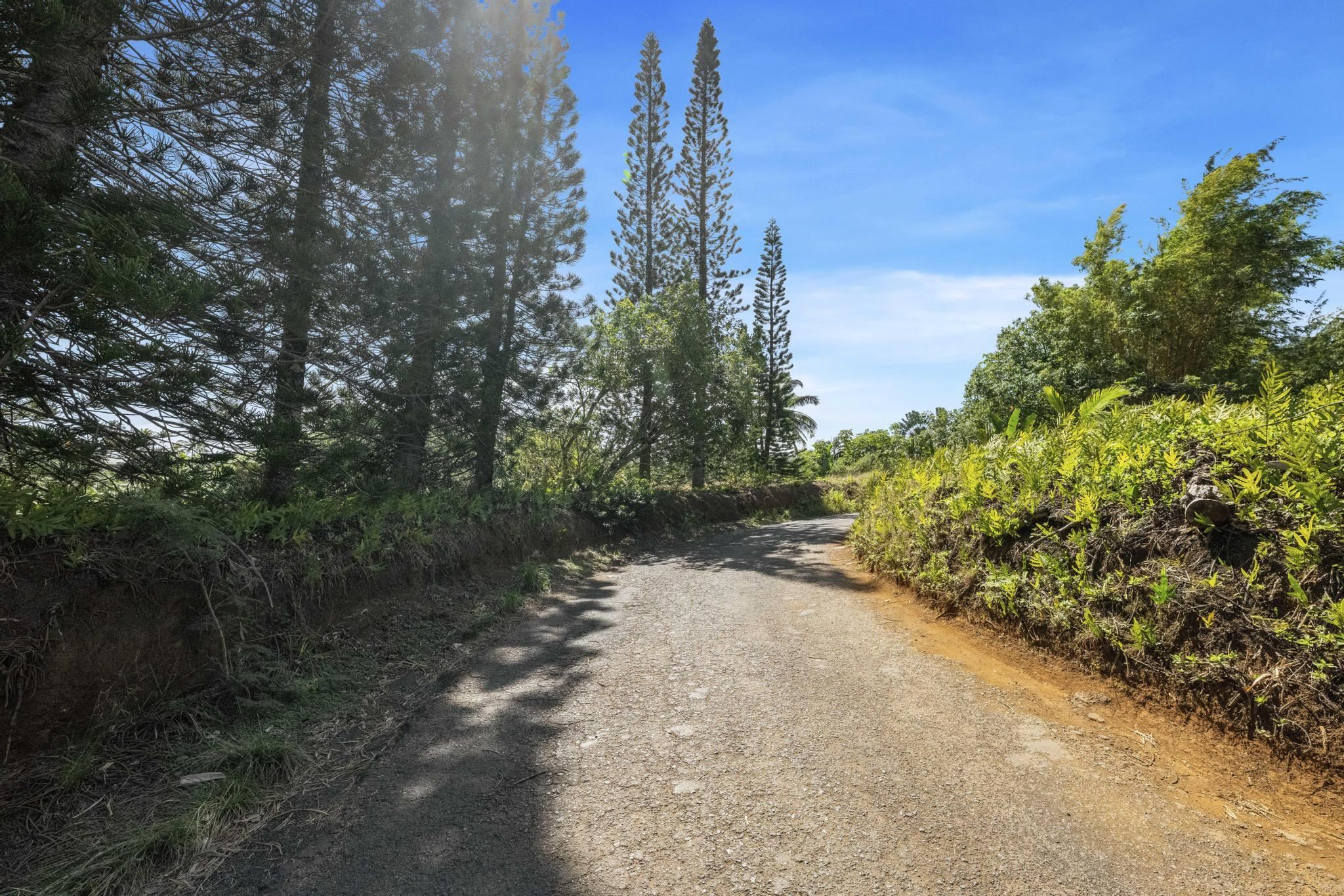 62 Hoolawa Road, Unit B Haiku, HI 96708 - Photo 28 of 36