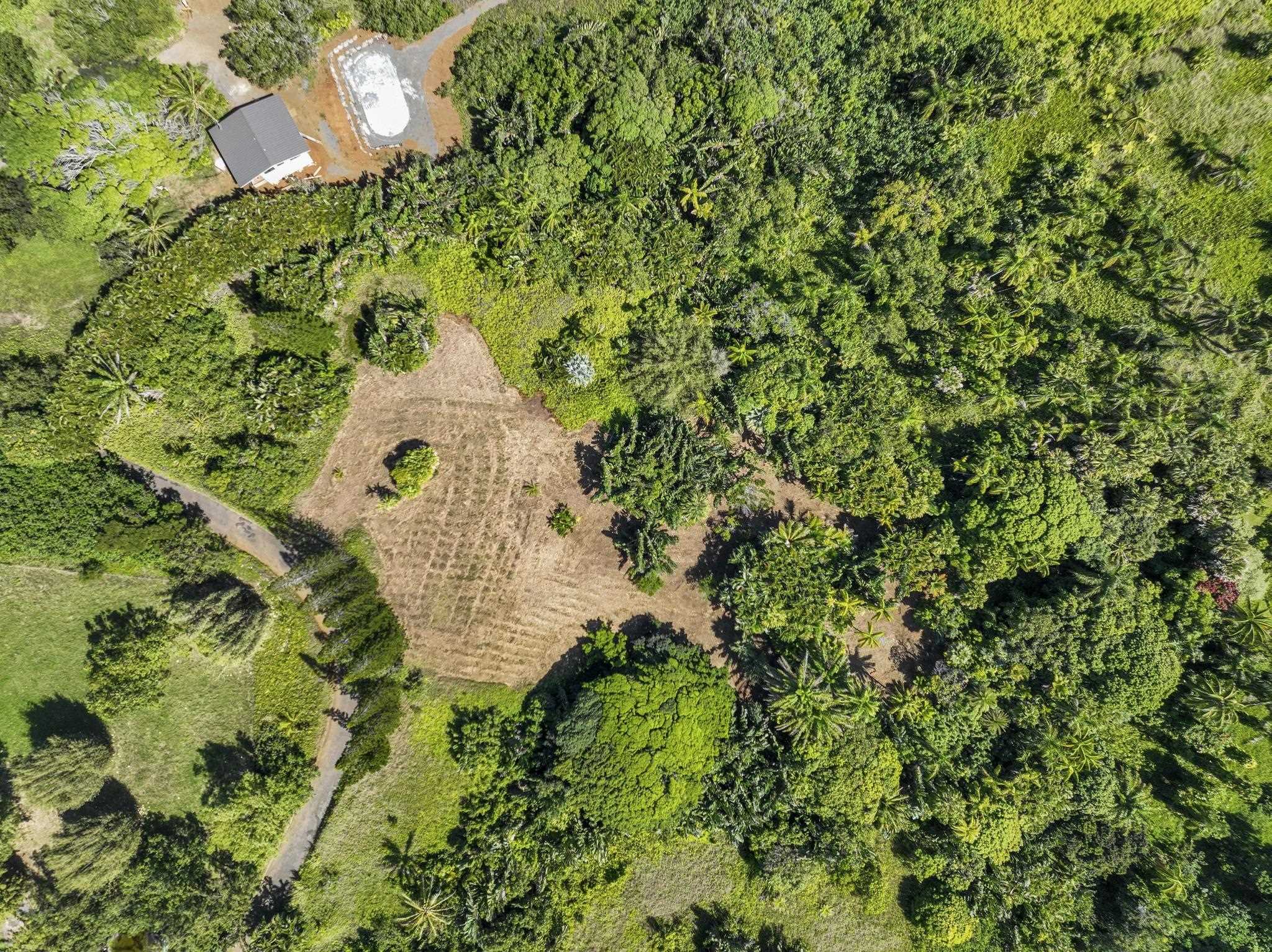 62 Hoolawa Road, Unit B Haiku, HI 96708 - Photo 3 of 36