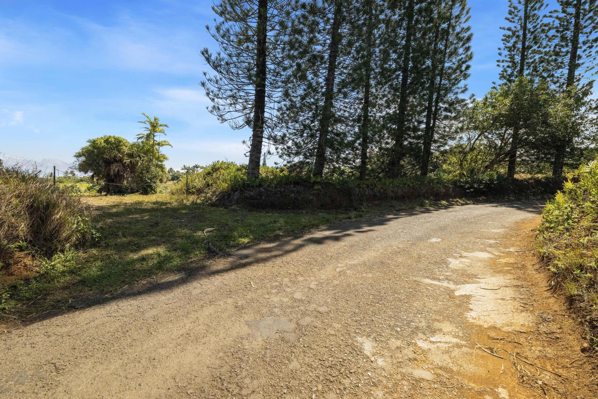 62 Hoolawa Road, Unit B Haiku, HI 96708 - Photo 4 of 36 Hoolawa road