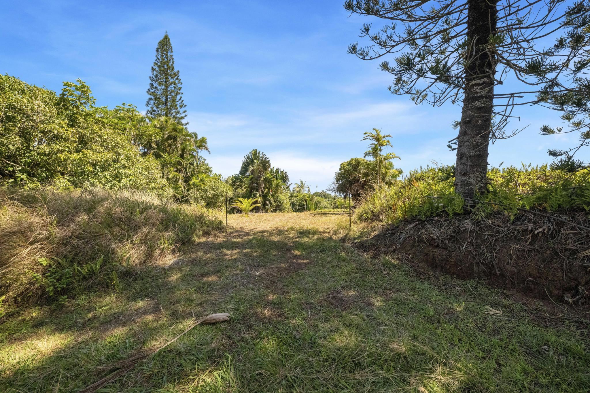 62 Hoolawa Road, Unit B Haiku, HI 96708 - Photo 5 of 36 Entry Driveway