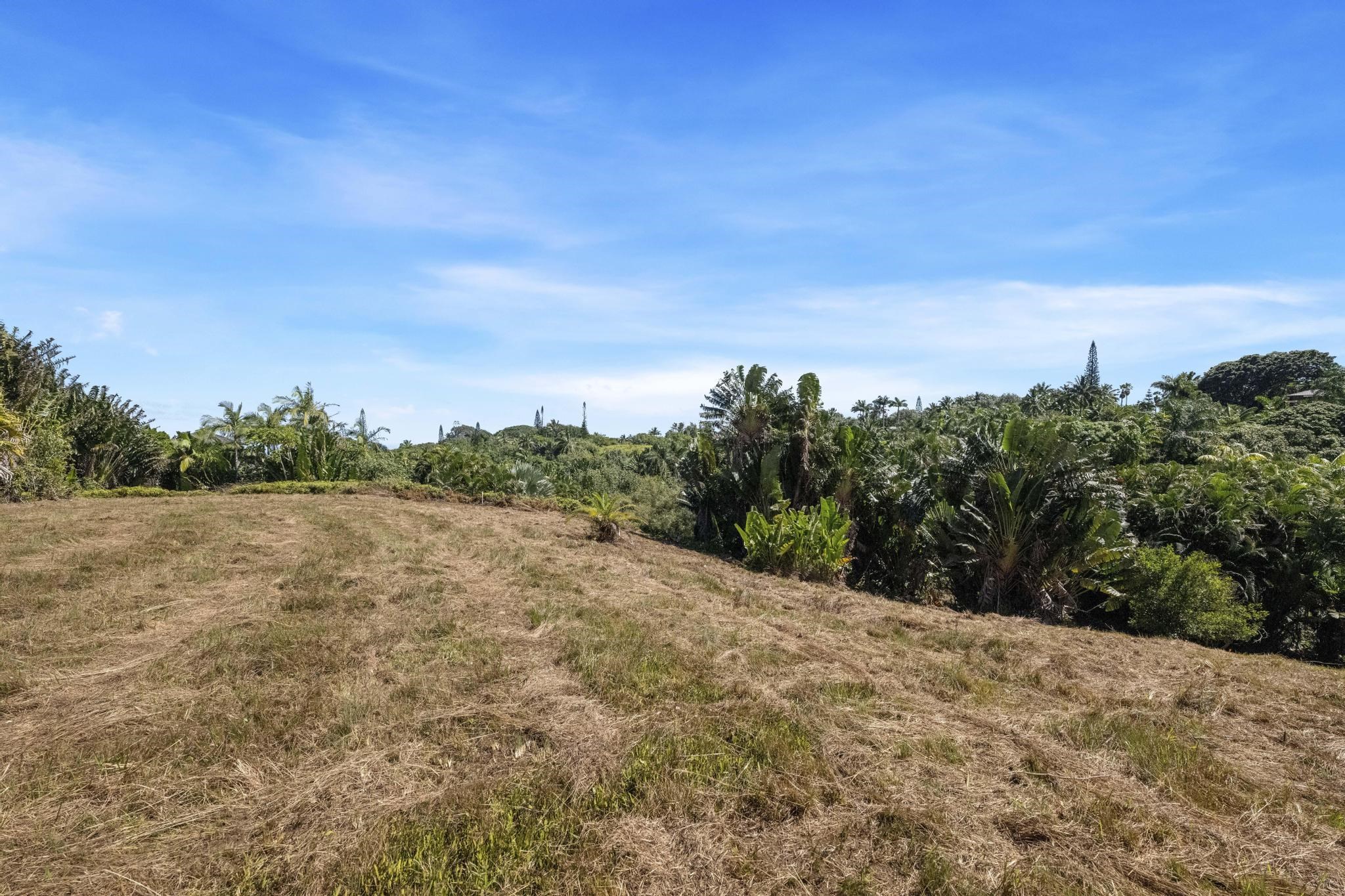 62 Hoolawa Road, Unit B Haiku, HI 96708 - Photo 6 of 36