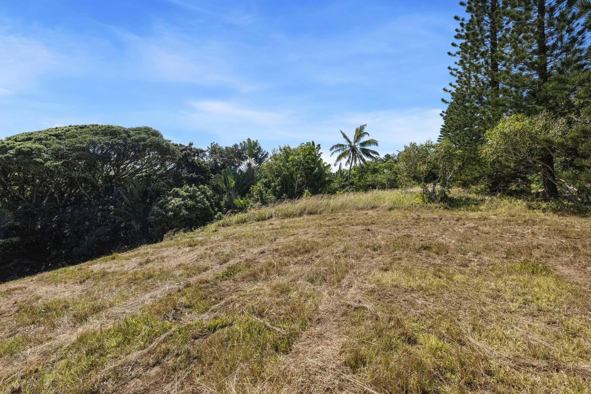 62 Hoolawa Road, Unit B Haiku, HI 96708 - Photo 8 of 36