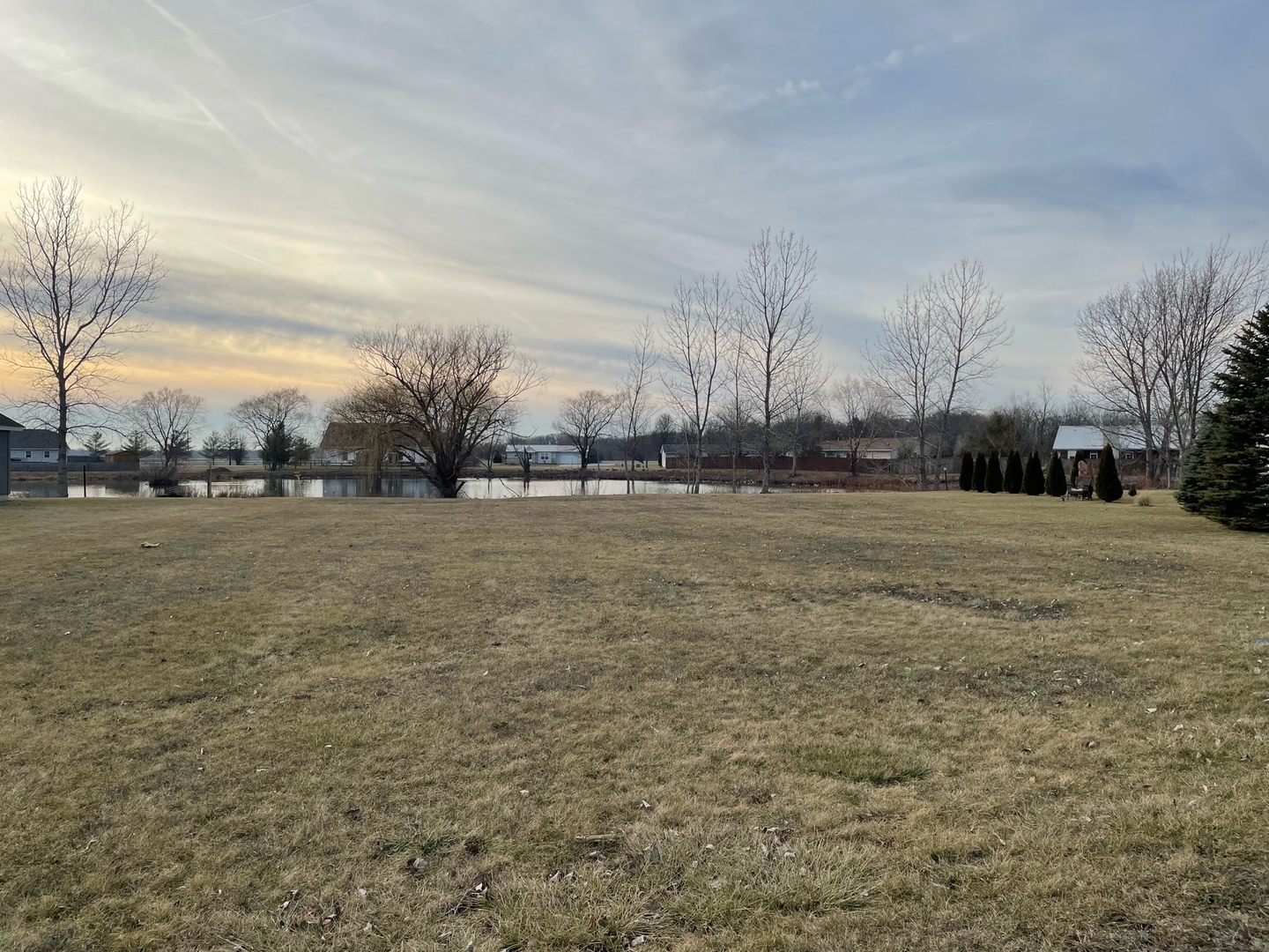 a view of a field with an ocean