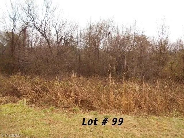 $28,000 | 99 River Chase Drive, Eden, NC 27288