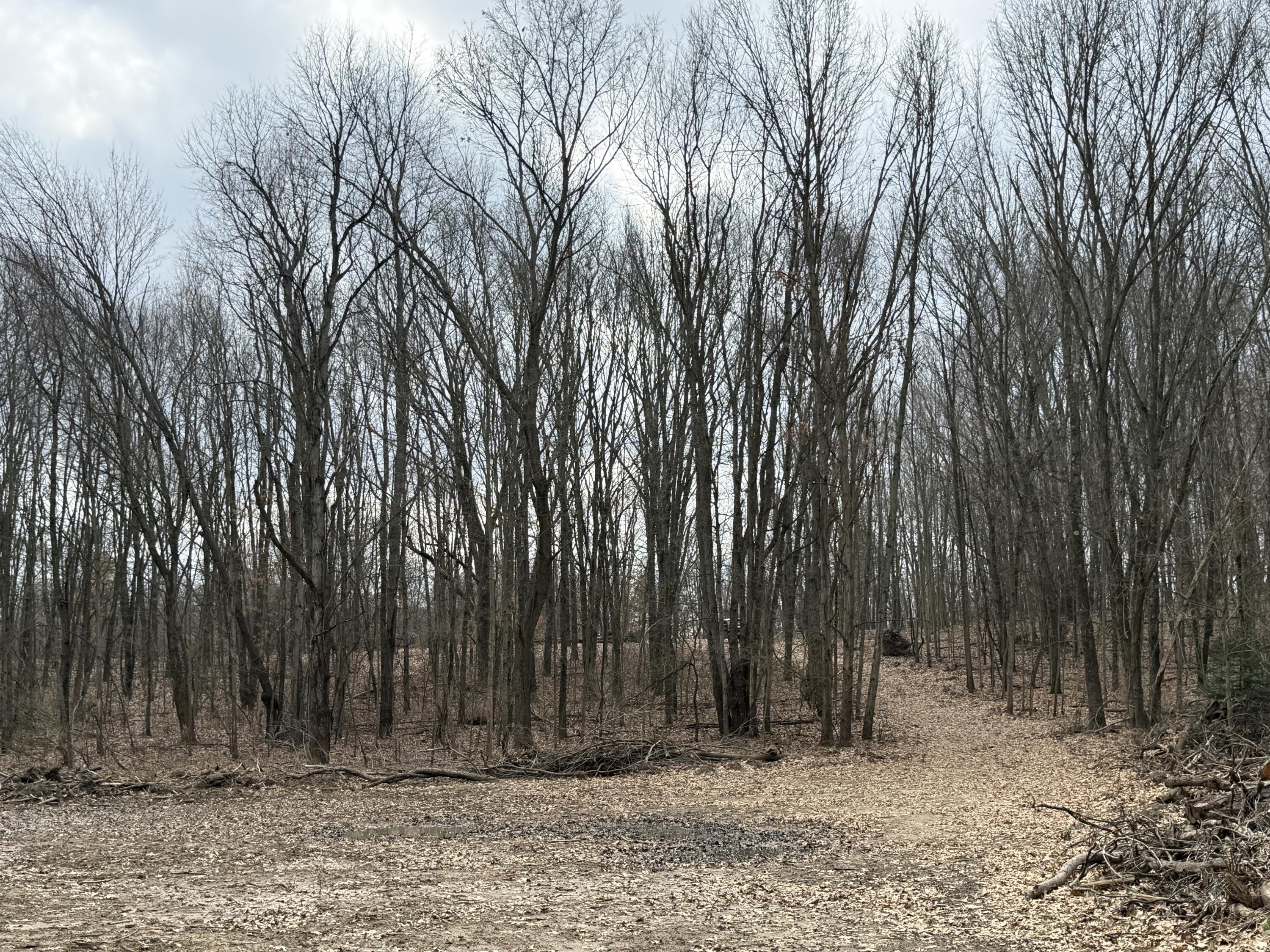 V/l Yawger Road Battle Creek, MI 49017 - Photo 2 of 6 Yawger Rd.